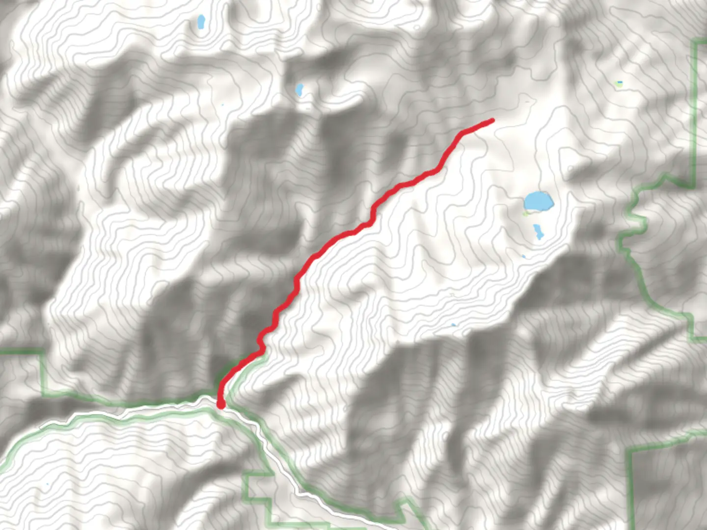 An image depicting the trail East Fork Coffee Creek Trail and its surrounding area.