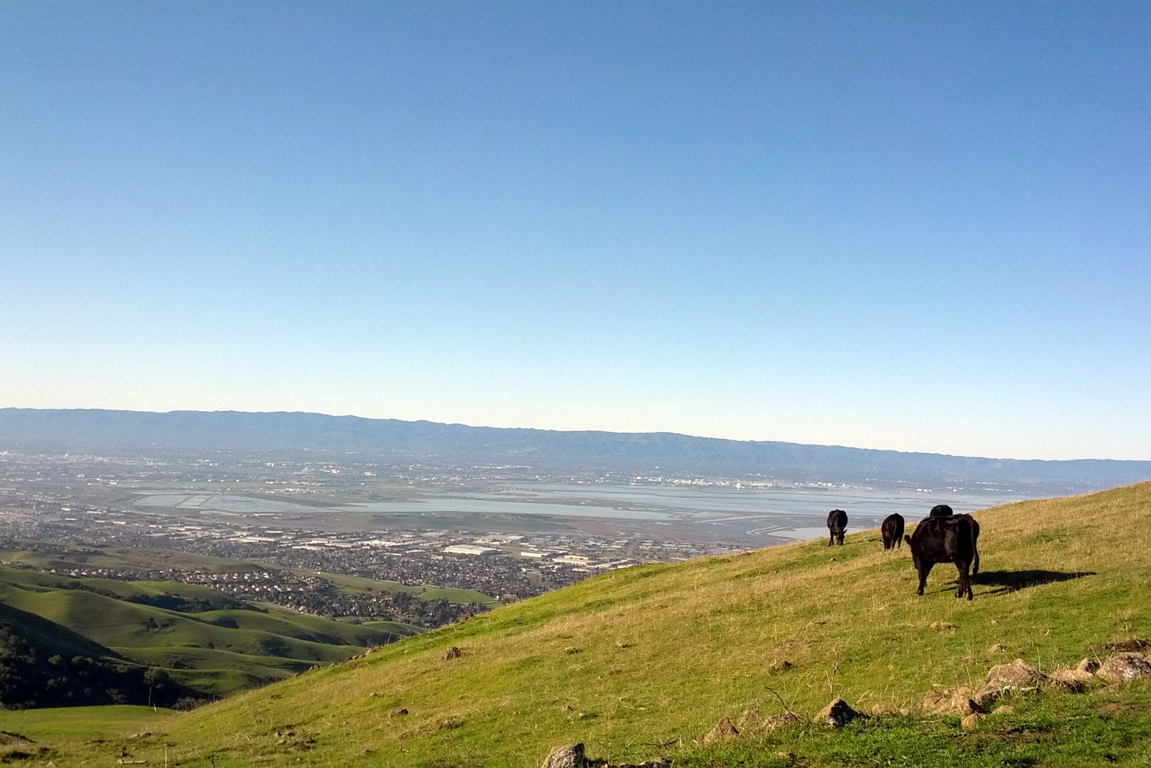 An image depicting the trail Hidden Valley - Peak Meadow Loop Trail and its surrounding area.