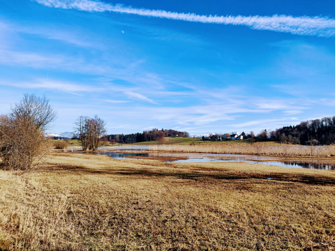 Lützelsee Loop Trail