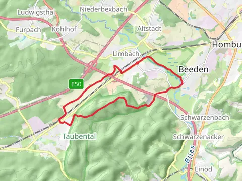 Limbach Loop
