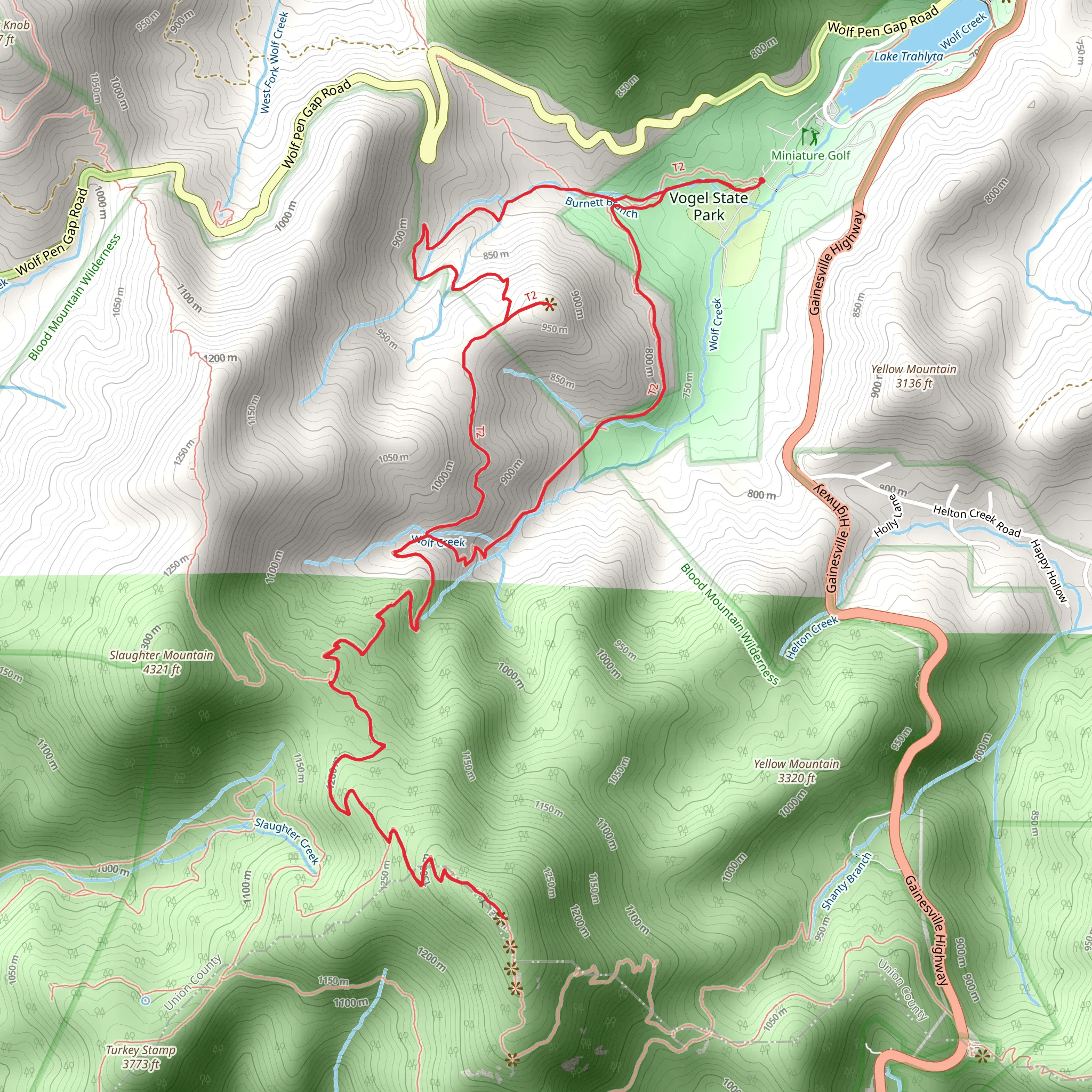Blood Mountain via Coosa Backcountry Trail and Bear Hair Gap Trail Loop mobile static map