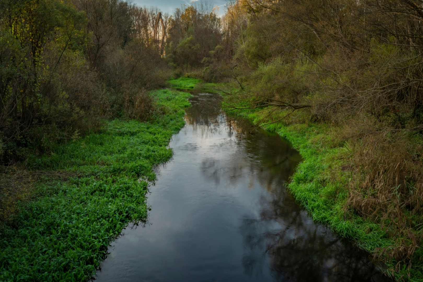 An image depicting the trail 3 Beeches Trail and its surrounding area.