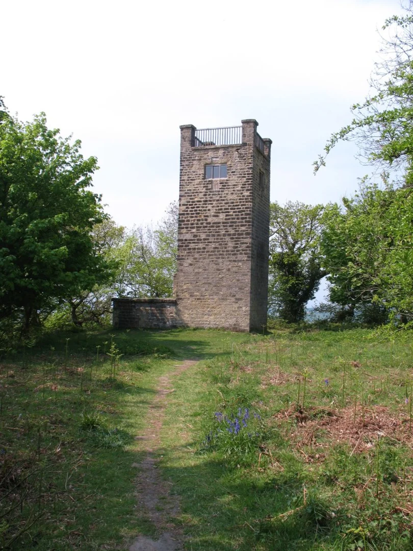 An image depicting the trail Mount Snever Observatory Walk and its surrounding area.