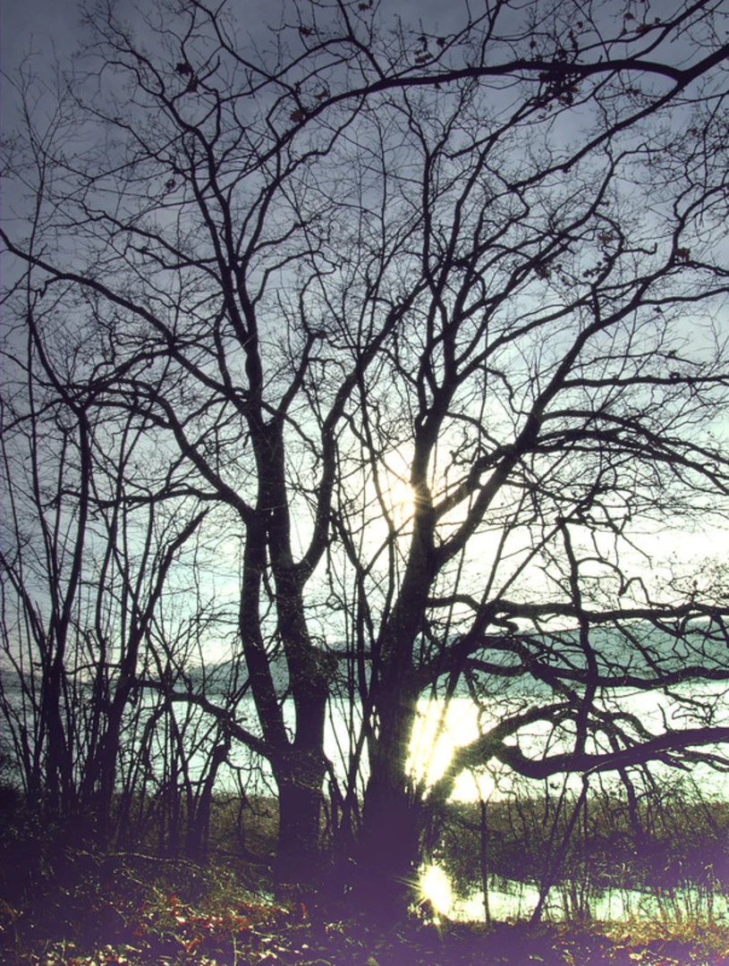 An image depicting the trail Wolletzsee Northeast side Loop and its surrounding area.