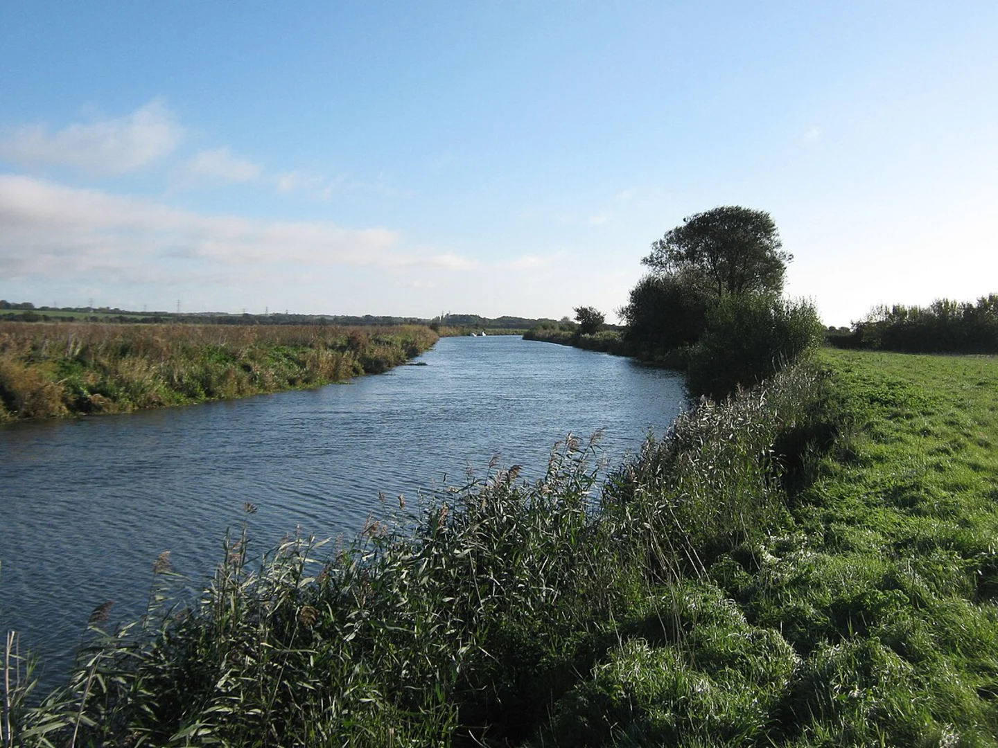 An image depicting the trail Rivercroft and Plucks Gutter Loop and its surrounding area.