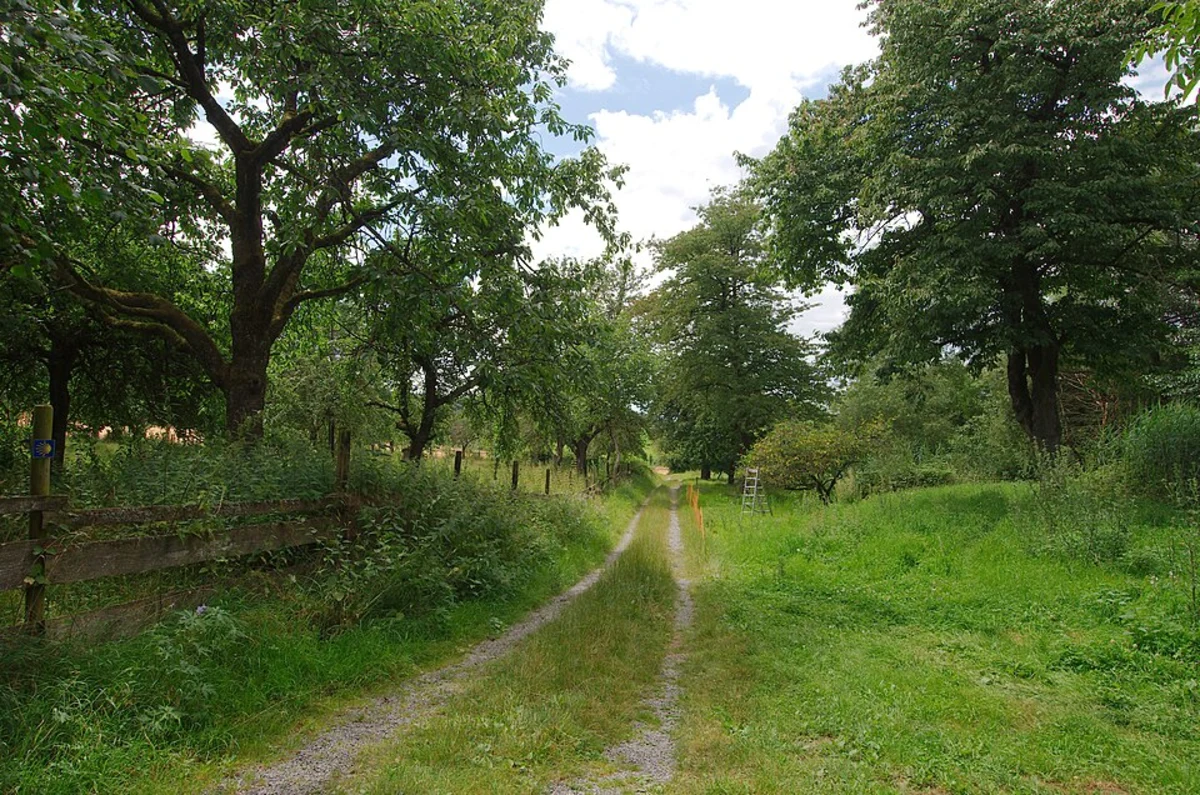 Rom Wachturm, Kleinkastell and Schontal Loop