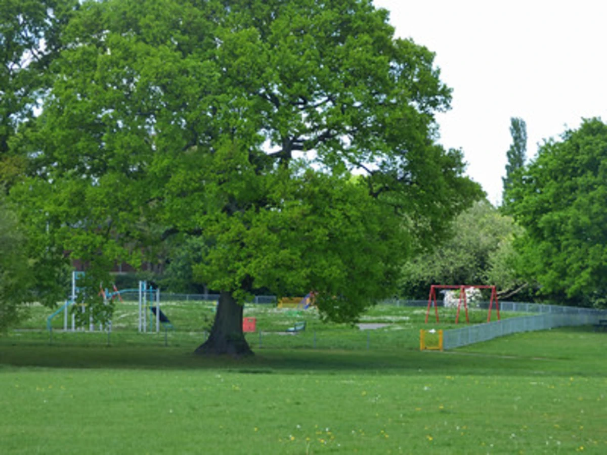 Olton Jubilee Park Loop