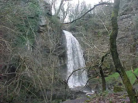 An image depicting the trail Melincourt Falls Walk and its surrounding area.