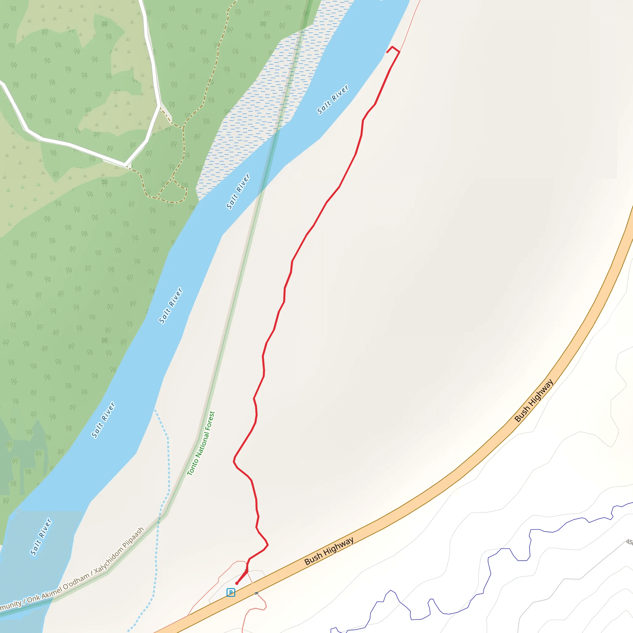 Salt River from North Bush Highway mobile static map