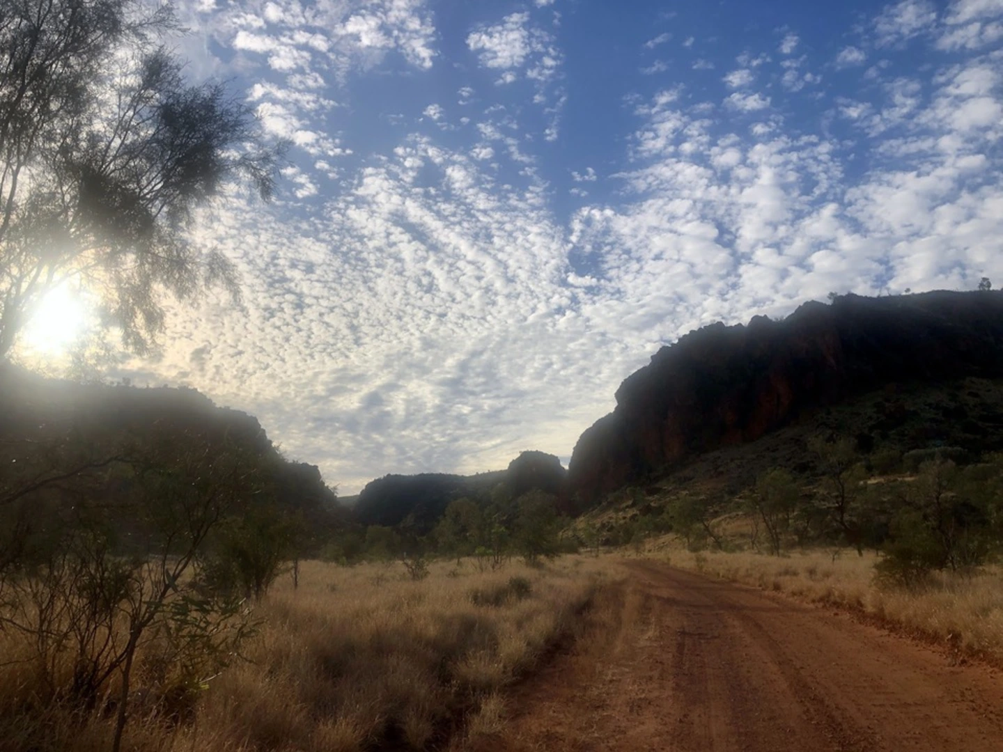 An image depicting the trail N'Dhala Gorge Walk and its surrounding area.