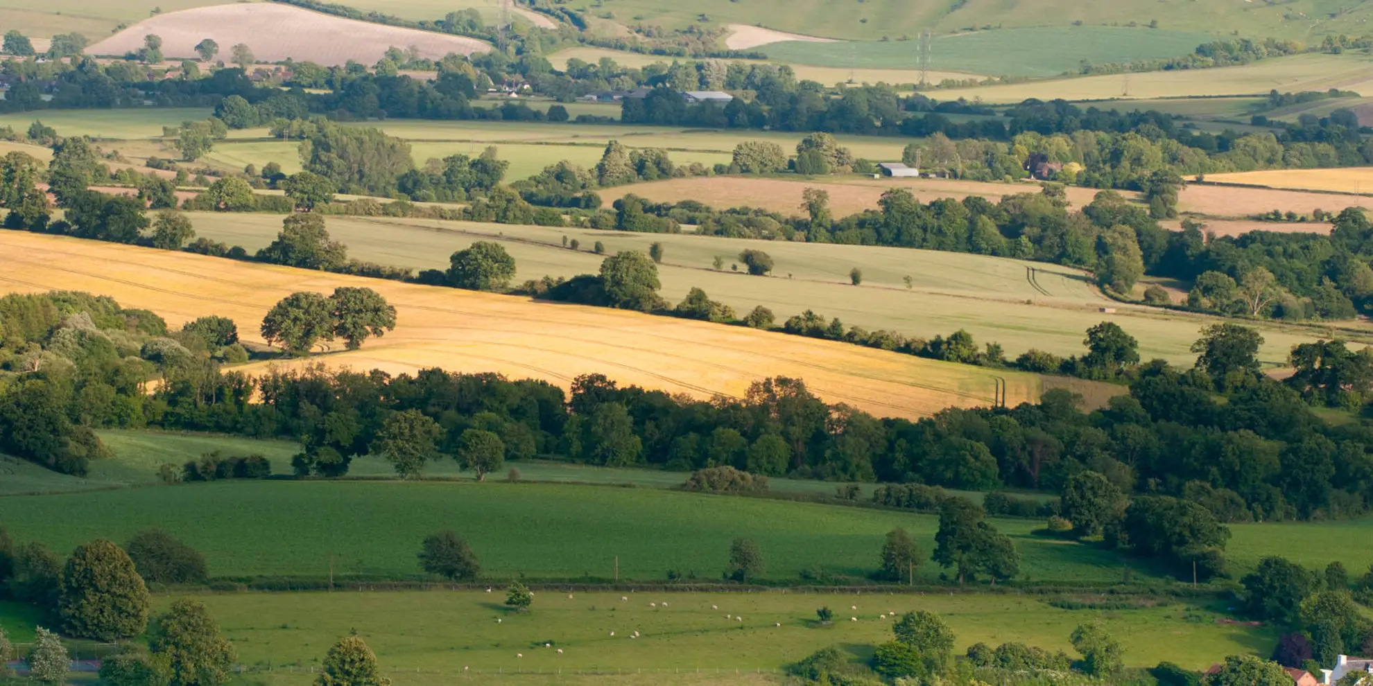 An image depicting the trail Pewsey Hill and Fyfield Down and its surrounding area.