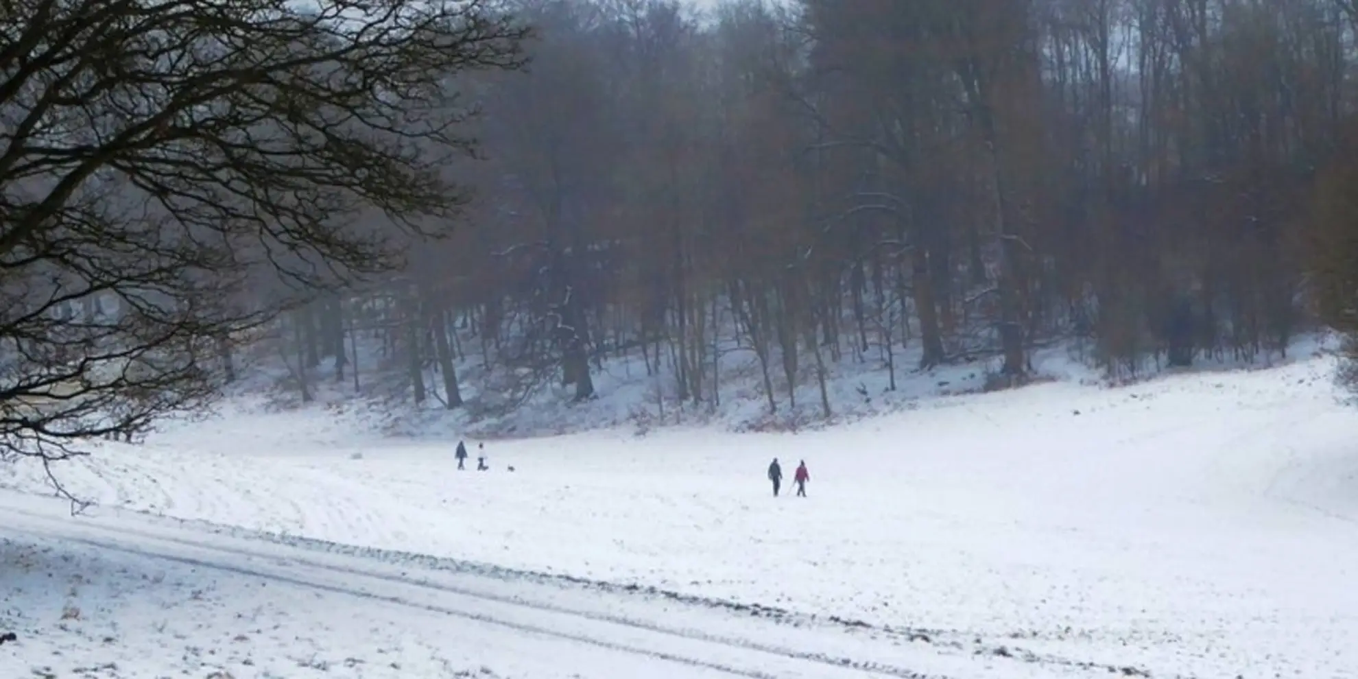 An image depicting the trail Golden Valley Ashridge Walk and its surrounding area.