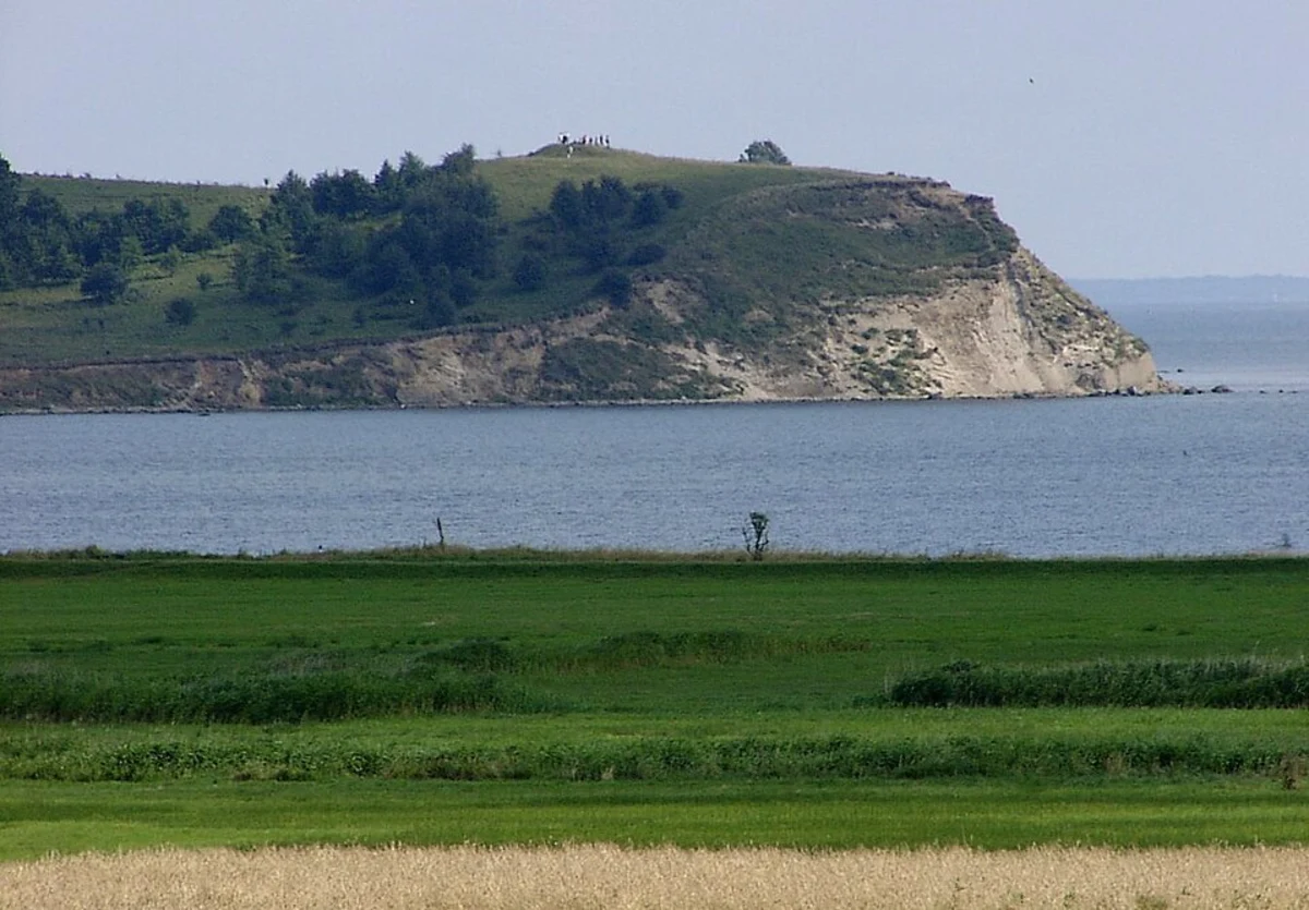 Efeu Wald, Klein Zicker from Thiessow