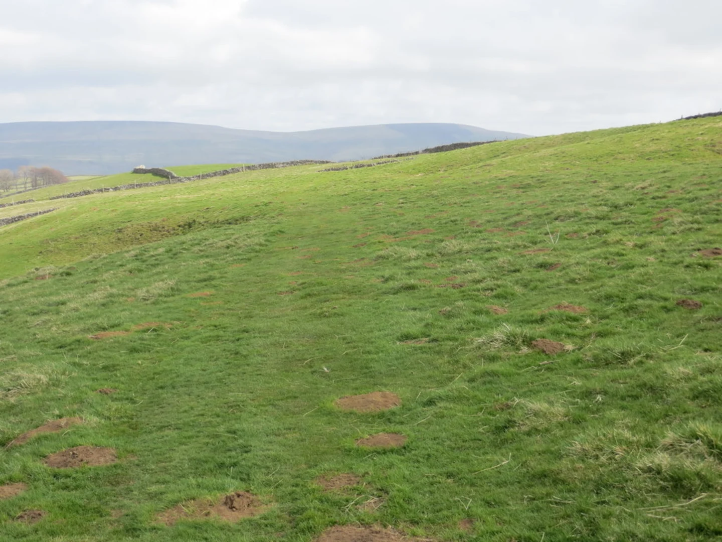 An image depicting the trail Ravenseat to Muker Walk and its surrounding area.