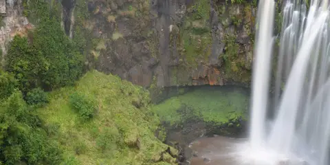 An image depicting the trail Omaru Falls Trail and its surrounding area.