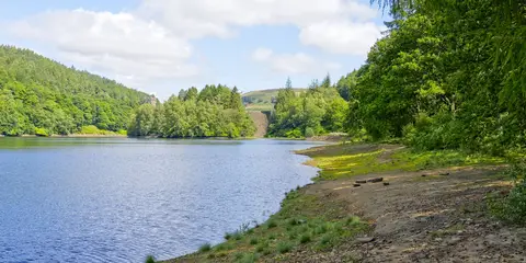 An image depicting the trail Howden 20 and its surrounding area.