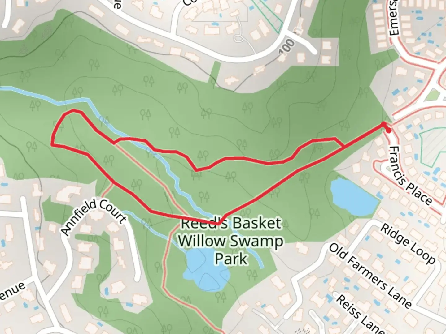 An image depicting the trail Reed's Basket Willow Swamp Park Loop and its surrounding area.