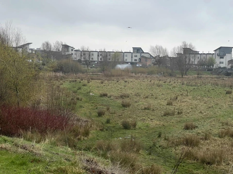 Poppintree Park Loop