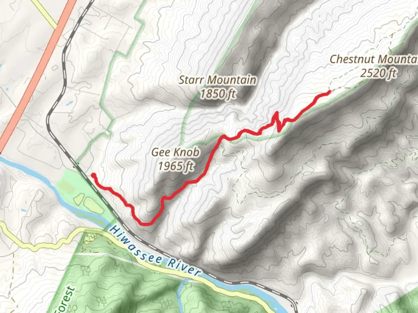 An image depicting the trail Coffee Branch and Chestnut Mountain Trail and its surrounding area.