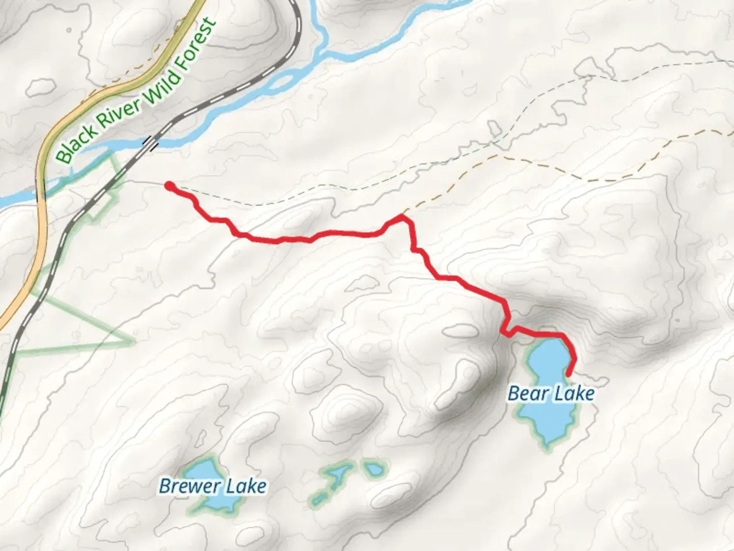 An image depicting the trail Bear Lake via Black River Wild Forest and its surrounding area.