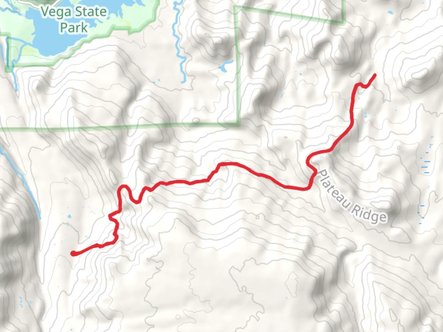 An image depicting the trail Silver Spruce Trail and its surrounding area.