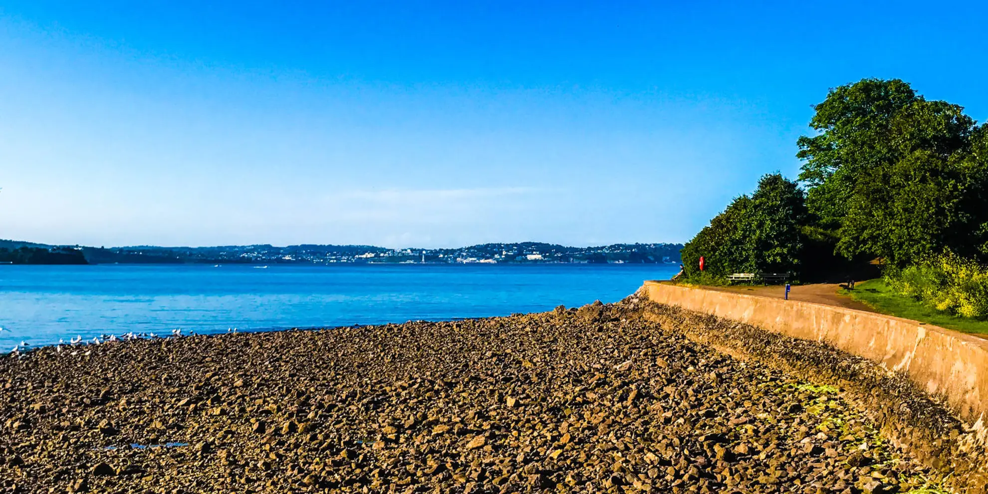 An image depicting the trail Broadsands Beach and Brixham and its surrounding area.