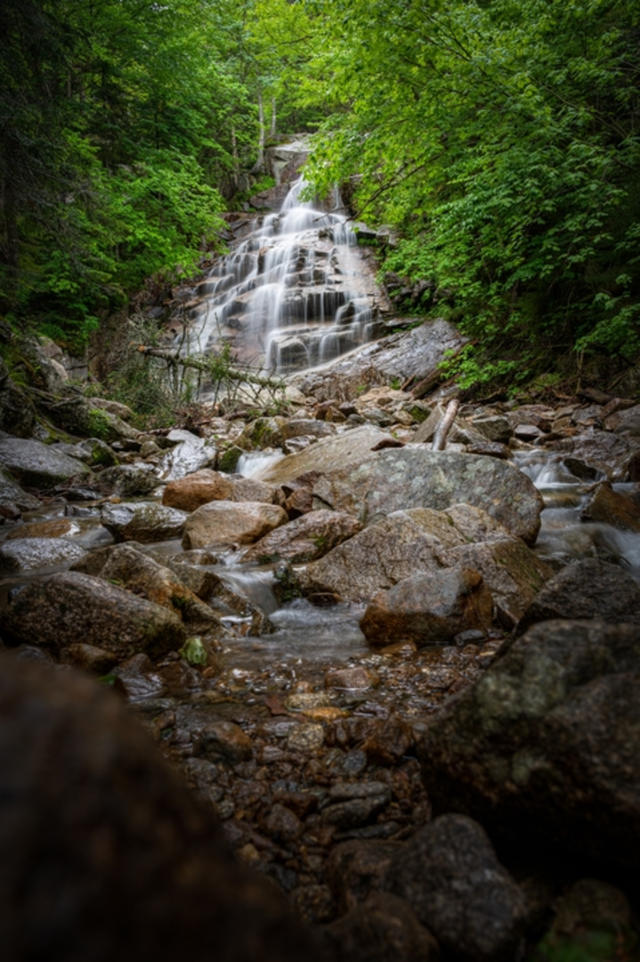 An image depicting the trail Falling Waters Trail and its surrounding area.