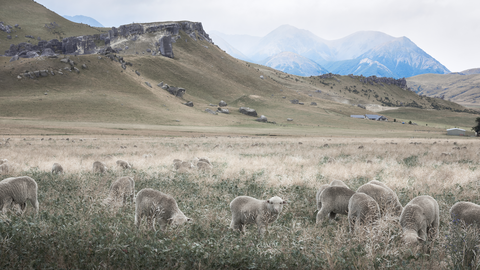 Kura Tāwhiti Access Track