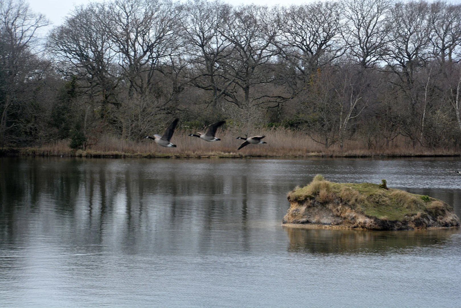 An image depicting the trail Keyhaven Marshes and its surrounding area.