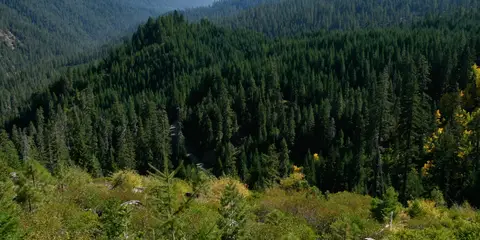 An image depicting the trail Marble Mountain Wilderness Loop and its surrounding area.