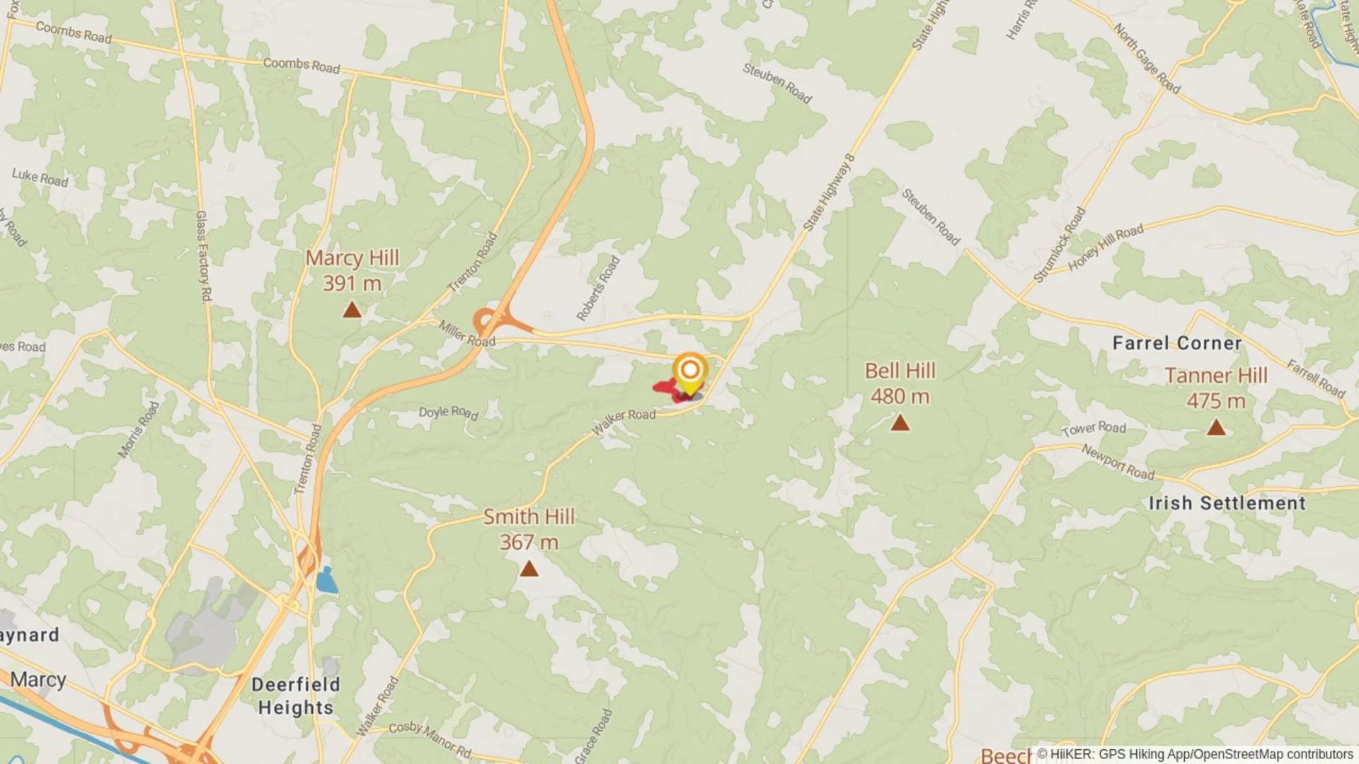 An image depicting the trail Reall Creek Loop and its surrounding area.