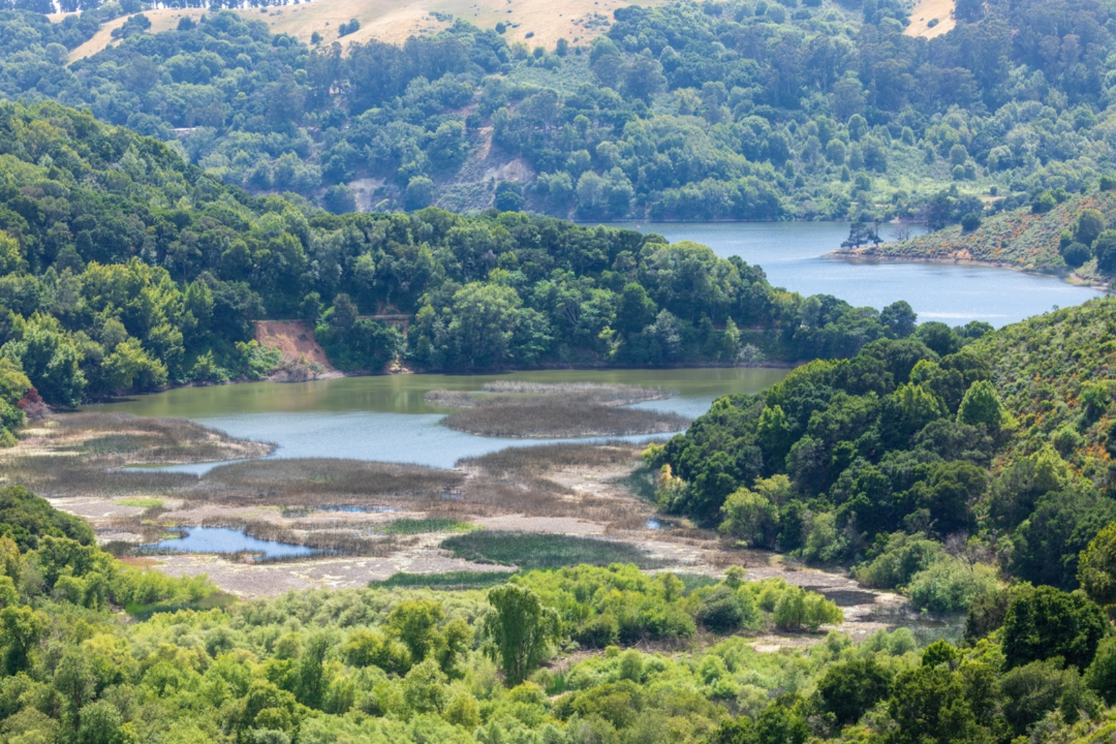 An image depicting the trail East Shore Trail via Lake Chabot and its surrounding area.