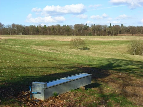Maidensgrove and Greenfield Wood Loop
