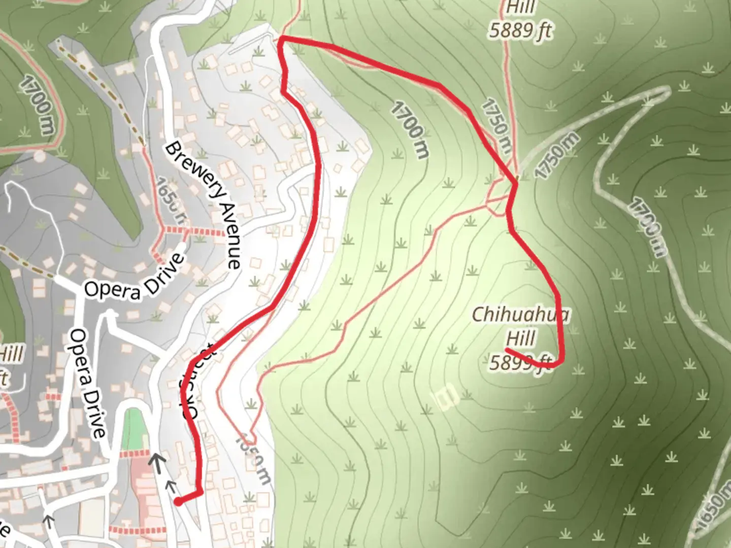 An image depicting the trail Chihuahua Hill Out and Back and its surrounding area.