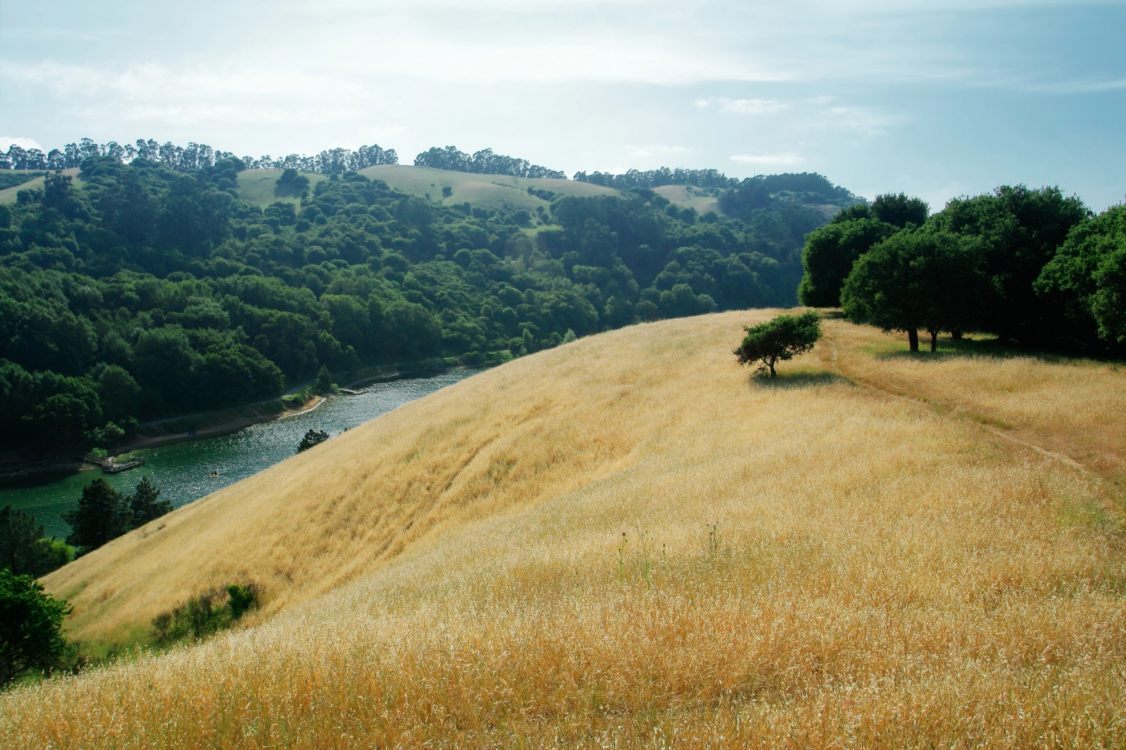 An image depicting the trail Grass Valley and Brandon Loop Trail and its surrounding area.