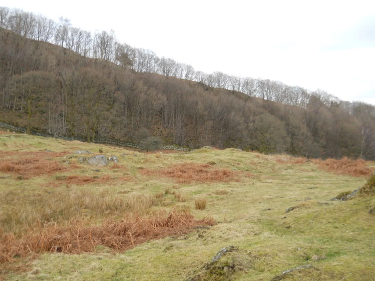 Winster Circular Walk