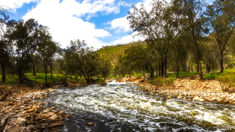 An image depicting the trail Kingfisher Trail and its surrounding area.