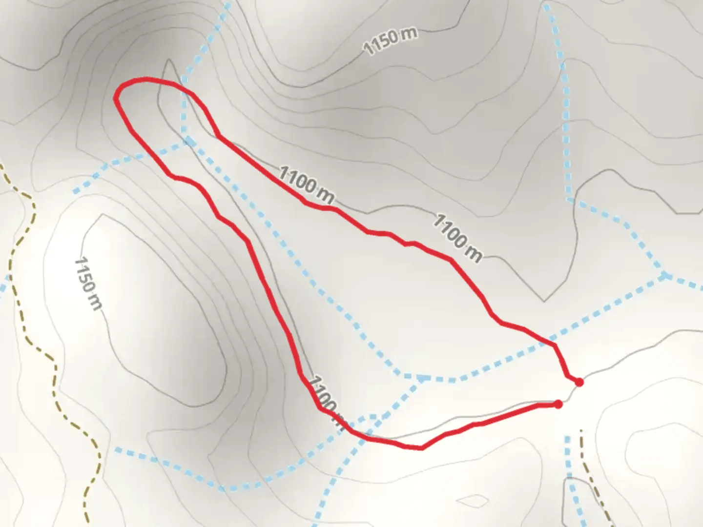 An image depicting the trail Brandy City Pond Trail and its surrounding area.