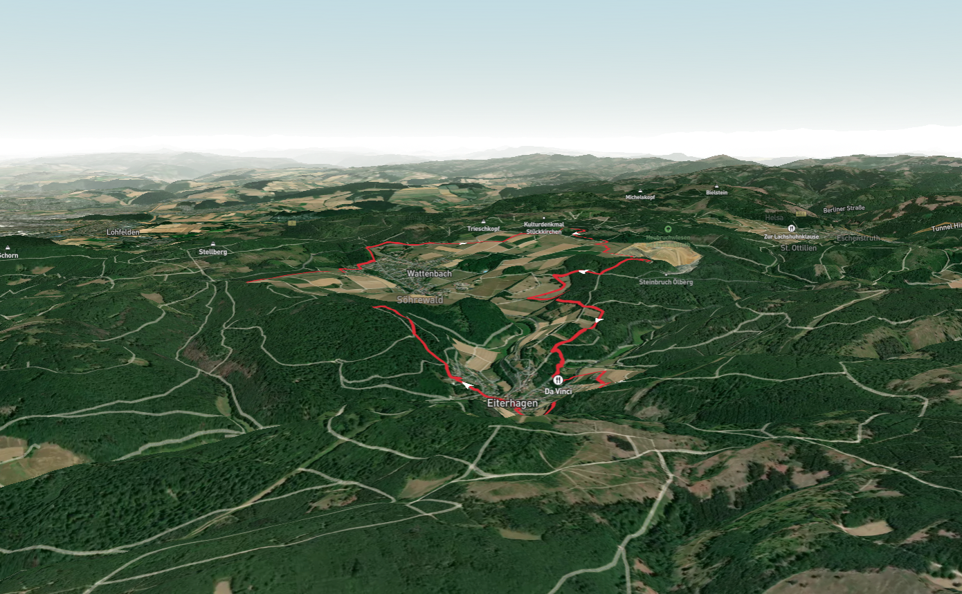 Wildbahn and Premiumweg Soehrewald Loop