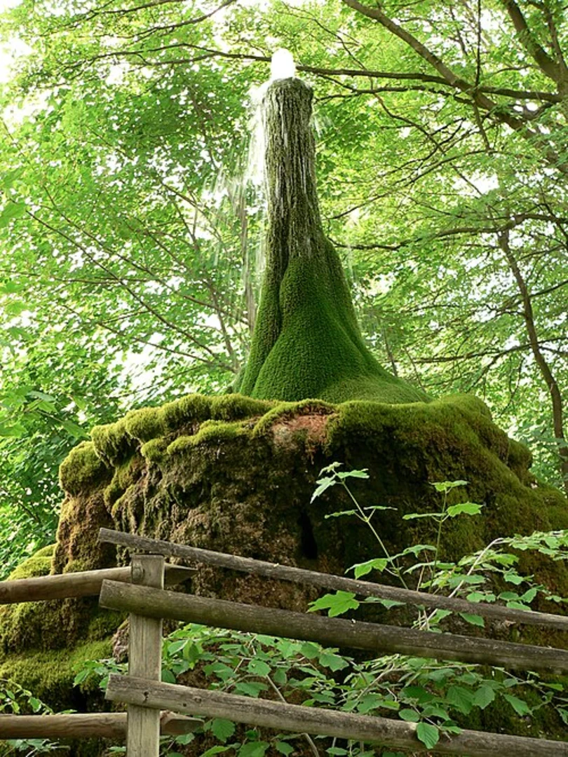 An image depicting the trail Ockensen-Hakenrode and Roswitha Weg and its surrounding area.
