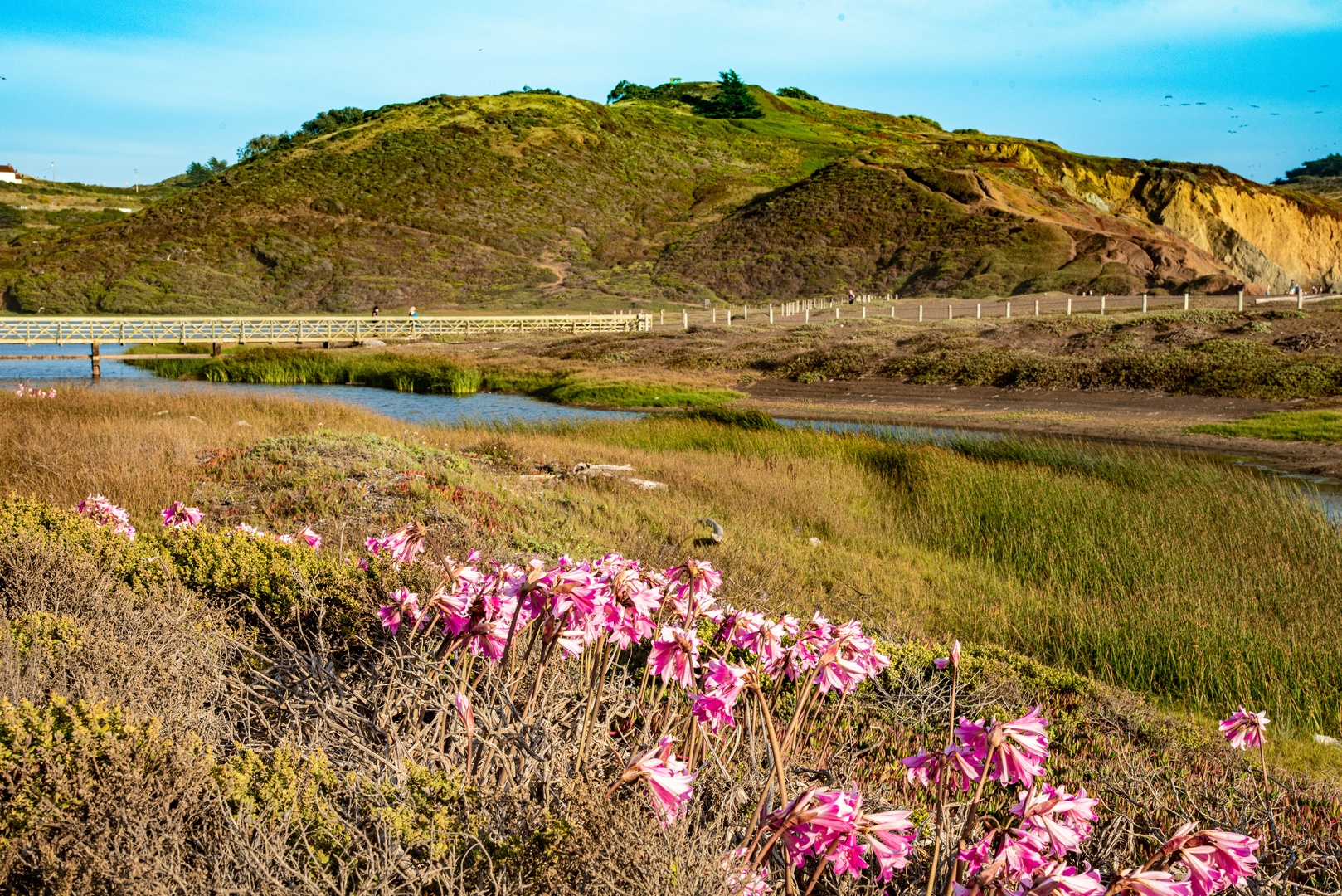 An image depicting the trail South Rodeo Beach Trail and its surrounding area.