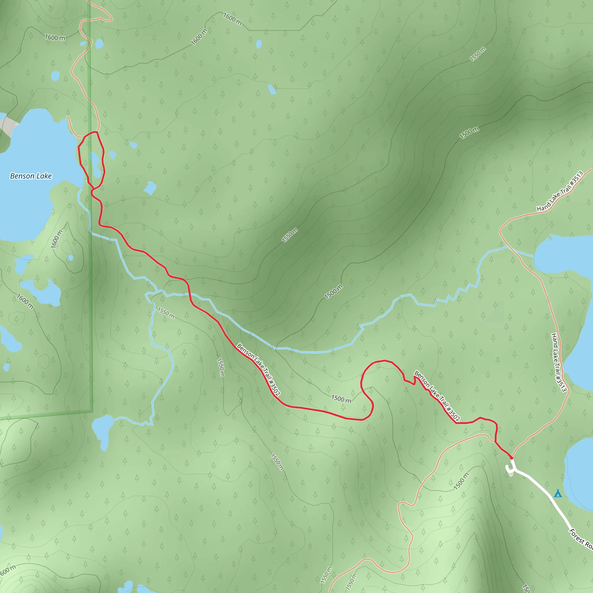 Benson Lake Trail Out and Back mobile static map