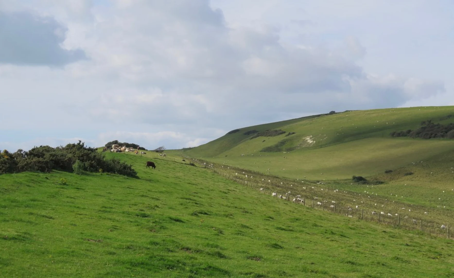 An image depicting the trail Newport to Brighstone Walk and its surrounding area.