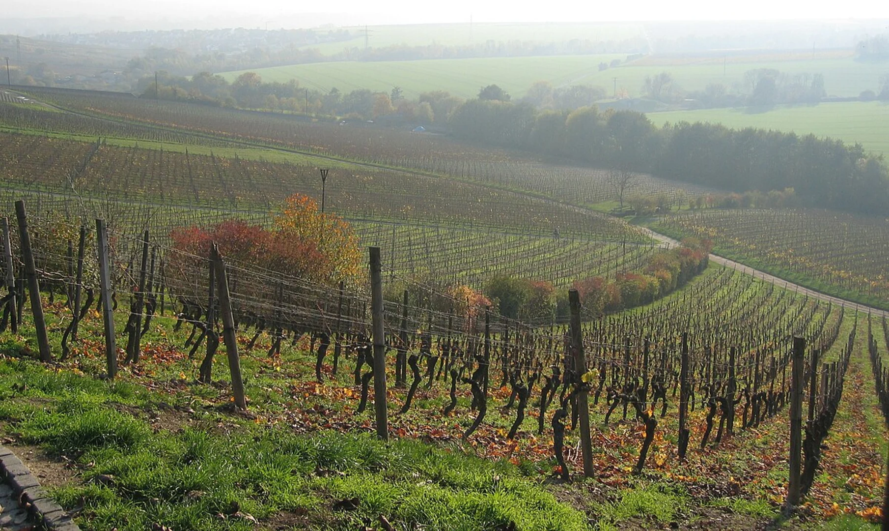 An image depicting the trail Steinbergpfad and its surrounding area.