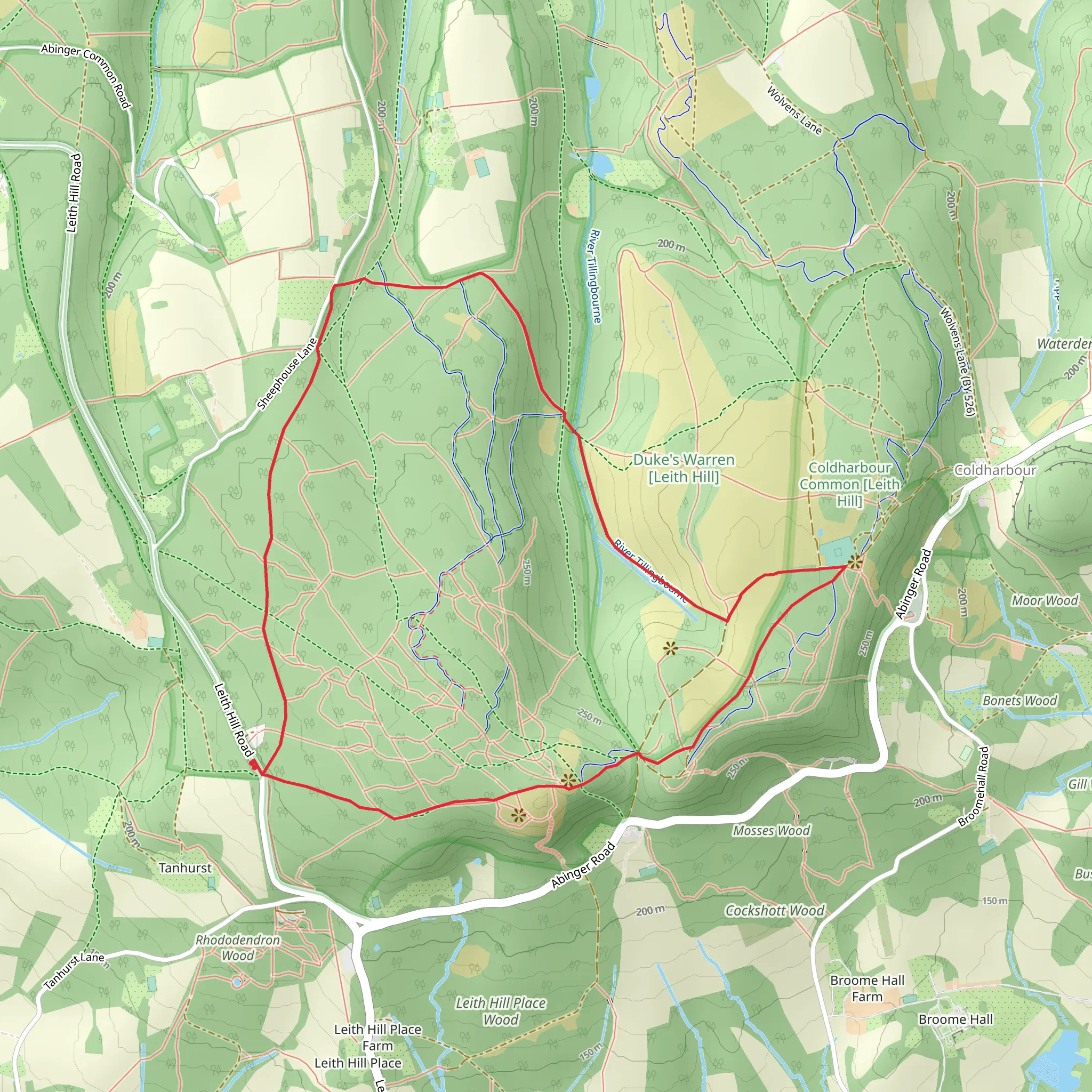 Leith Hill Loop mobile static map