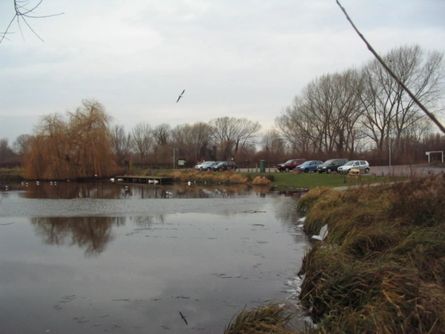 An image depicting the trail Watermead Country Park Loop and its surrounding area.