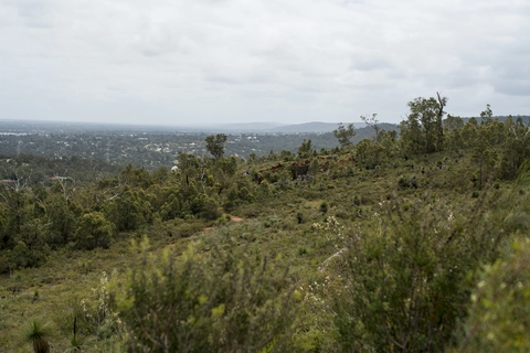 An image depicting the trail Stathams Quarry Walk and its surrounding area.