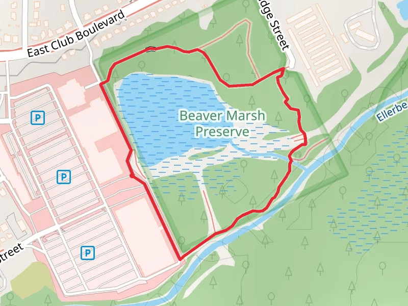 Beaver Marsh Preserve Loop