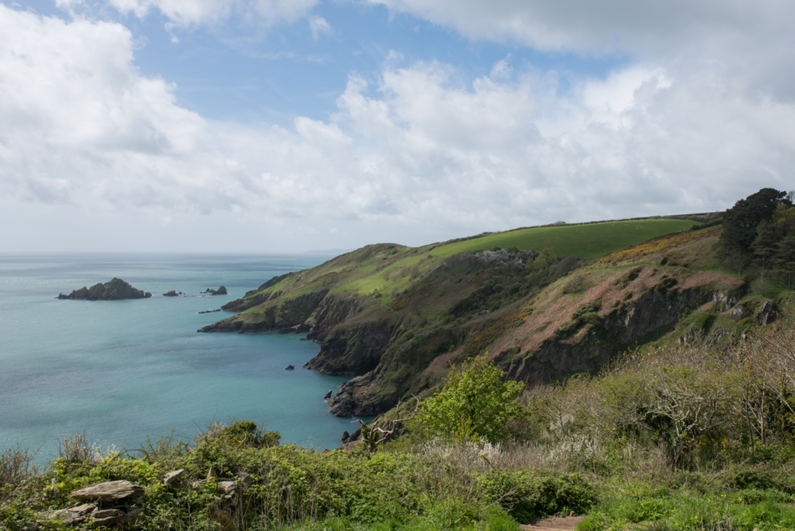 An image depicting the trail Coleton Fishacre Evening Torchlit Walk and its surrounding area.