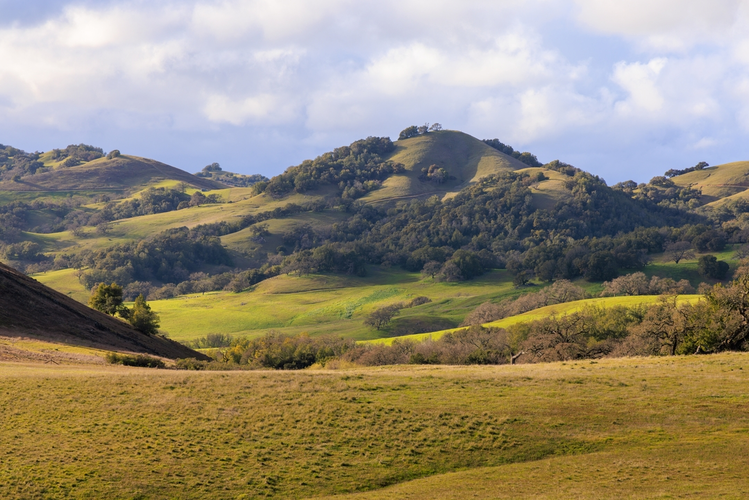 Burdell Mountain Loop